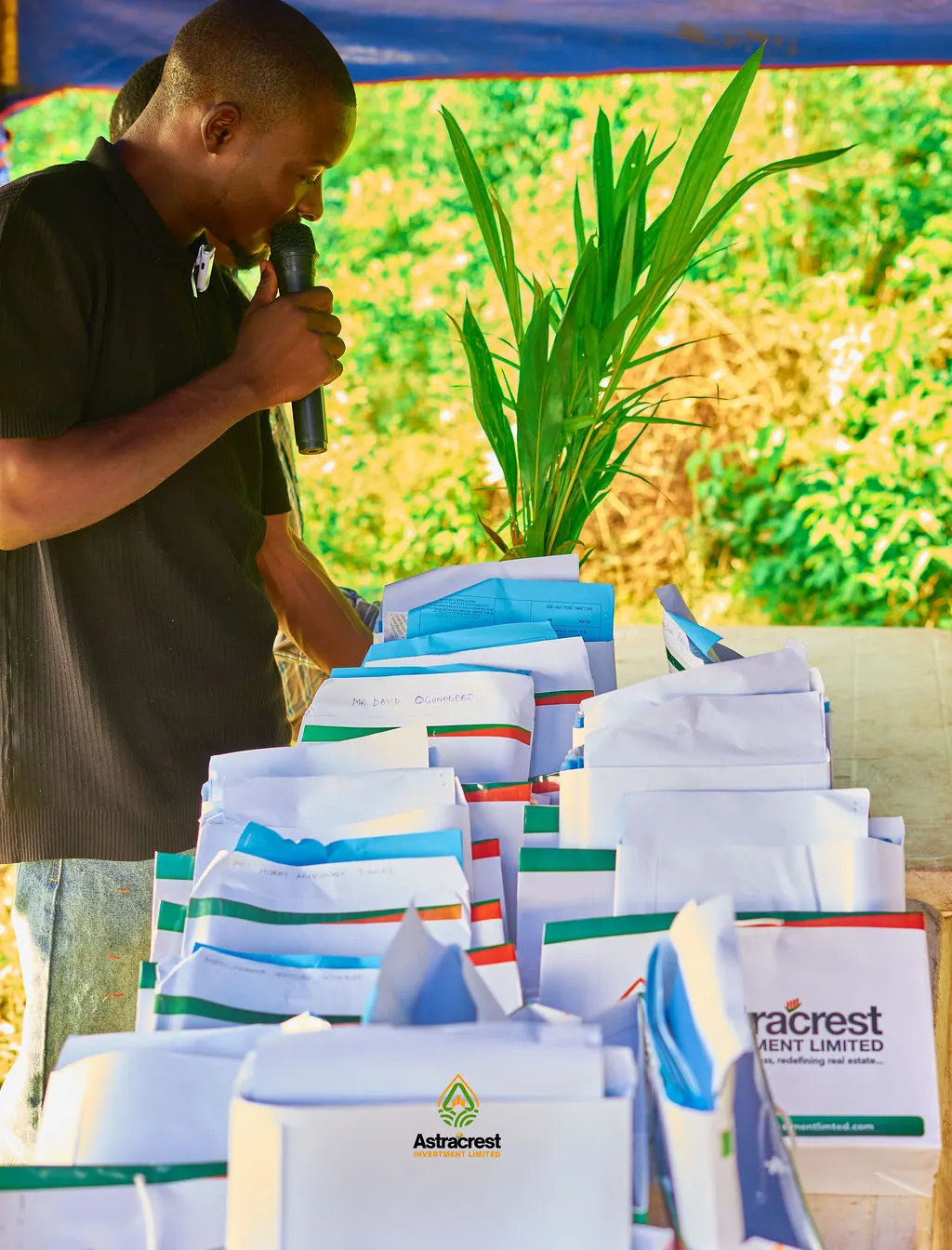 Starcrest Palm Estate — Second Batch Allocation — photo 10