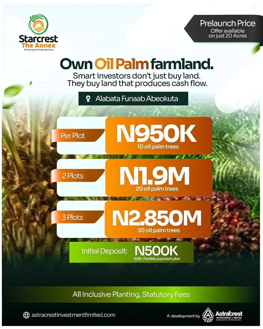 Pre-launch flyer: oil palm farmland — 1 plot ₦950K, 2 plots ₦1.9M, 3 plots ₦2.85M