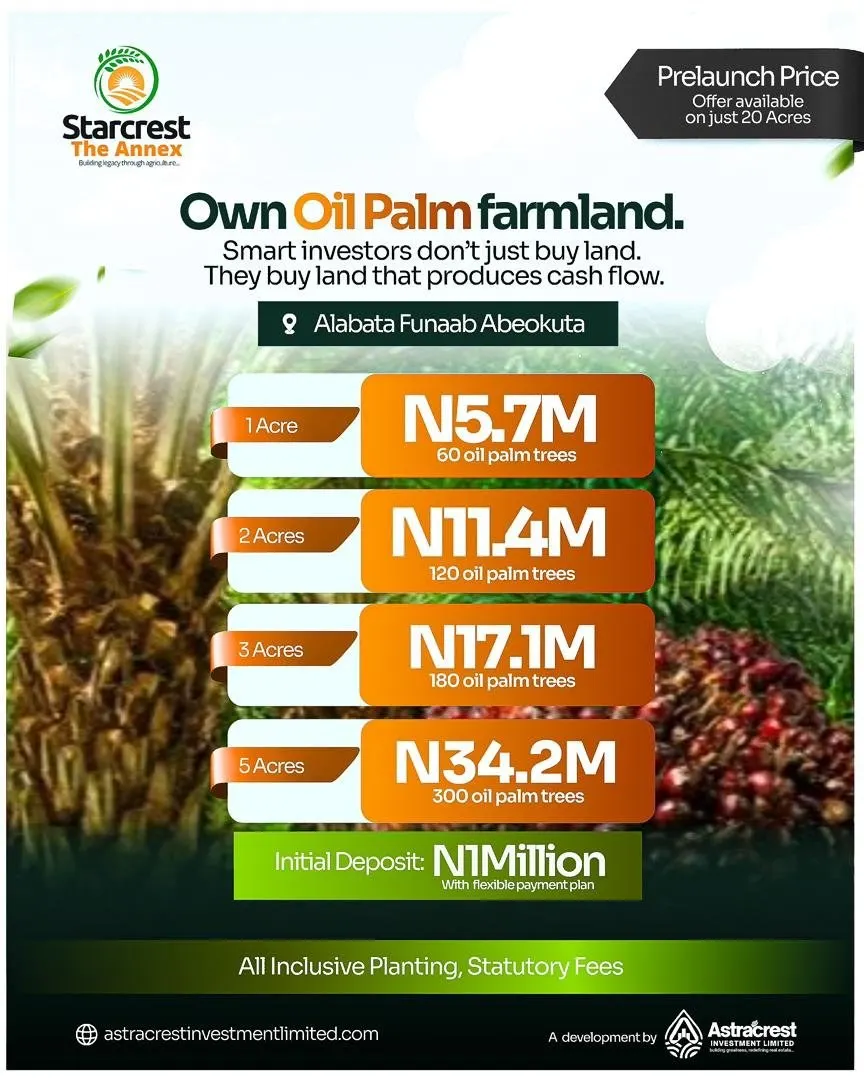 Pre-launch flyer: oil palm farmland — 1, 2, 3 and 5 acres