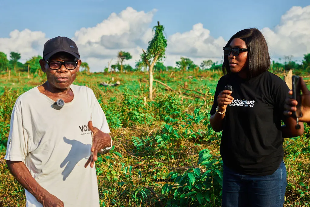 Starcrest Palm Estate — Second Batch Allocation — photo 89
