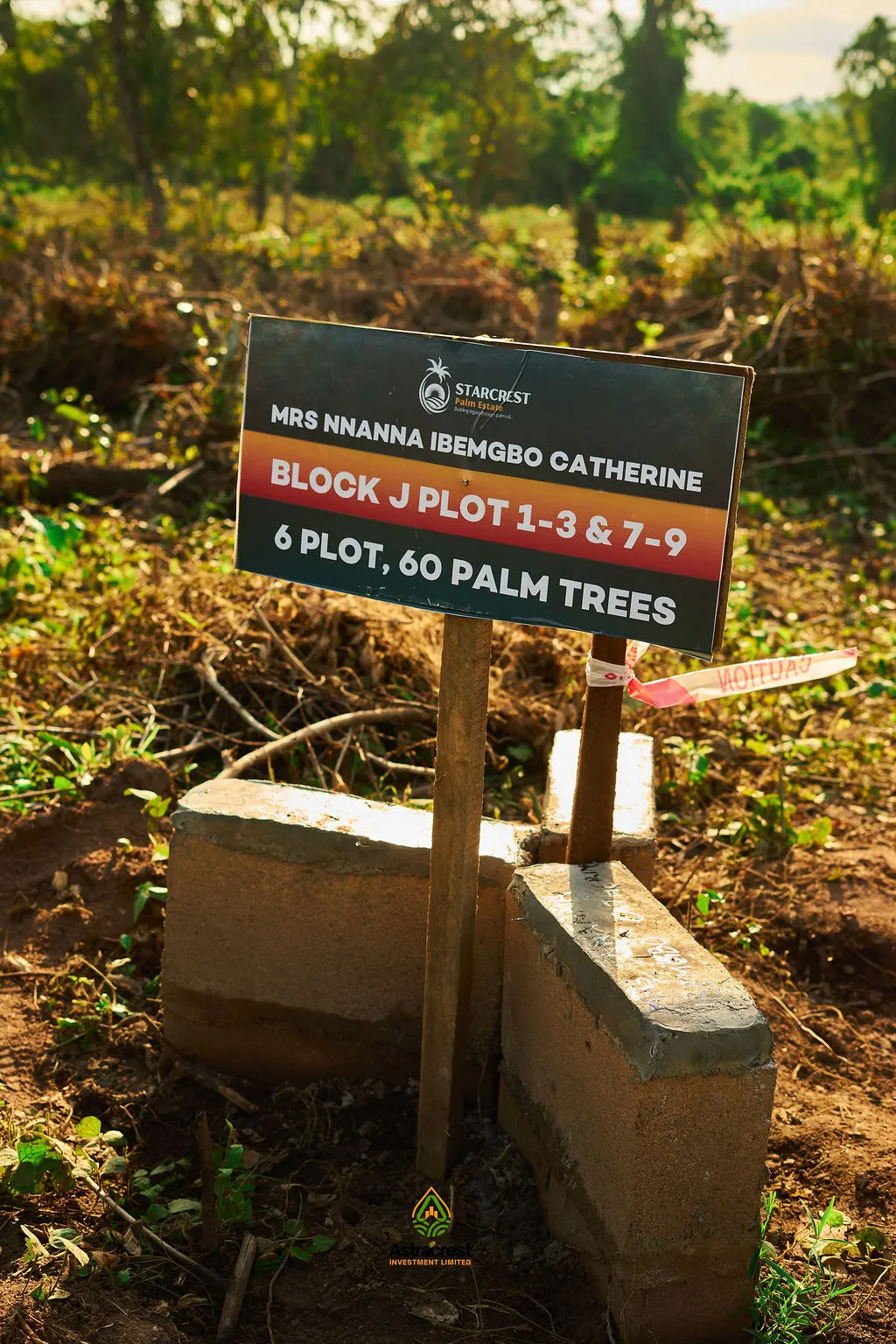 Starcrest Palm Estate — Second Batch Allocation — photo 67
