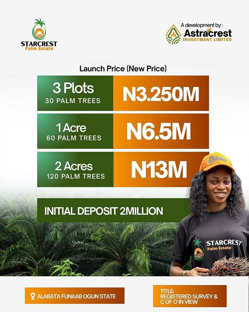Launch price flyer: 3 plots ₦3.25M, 1 acre ₦6.5M, 2 acres ₦13M
