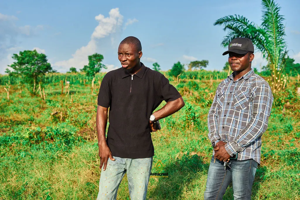 Starcrest Palm Estate — Second Batch Allocation — photo 82