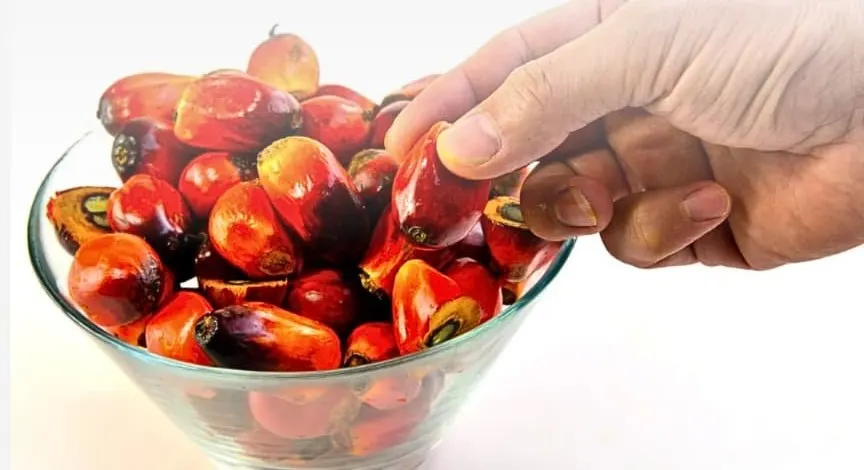 A hand picking ripe red palm fruits from a glass bowl