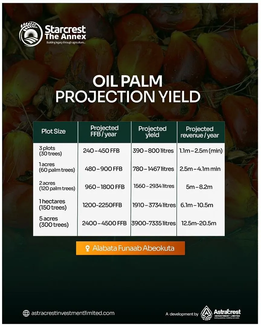 Oil palm projected yield table