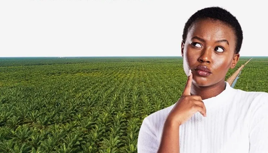 A young woman gazing thoughtfully beside a vast, young oil palm plantation