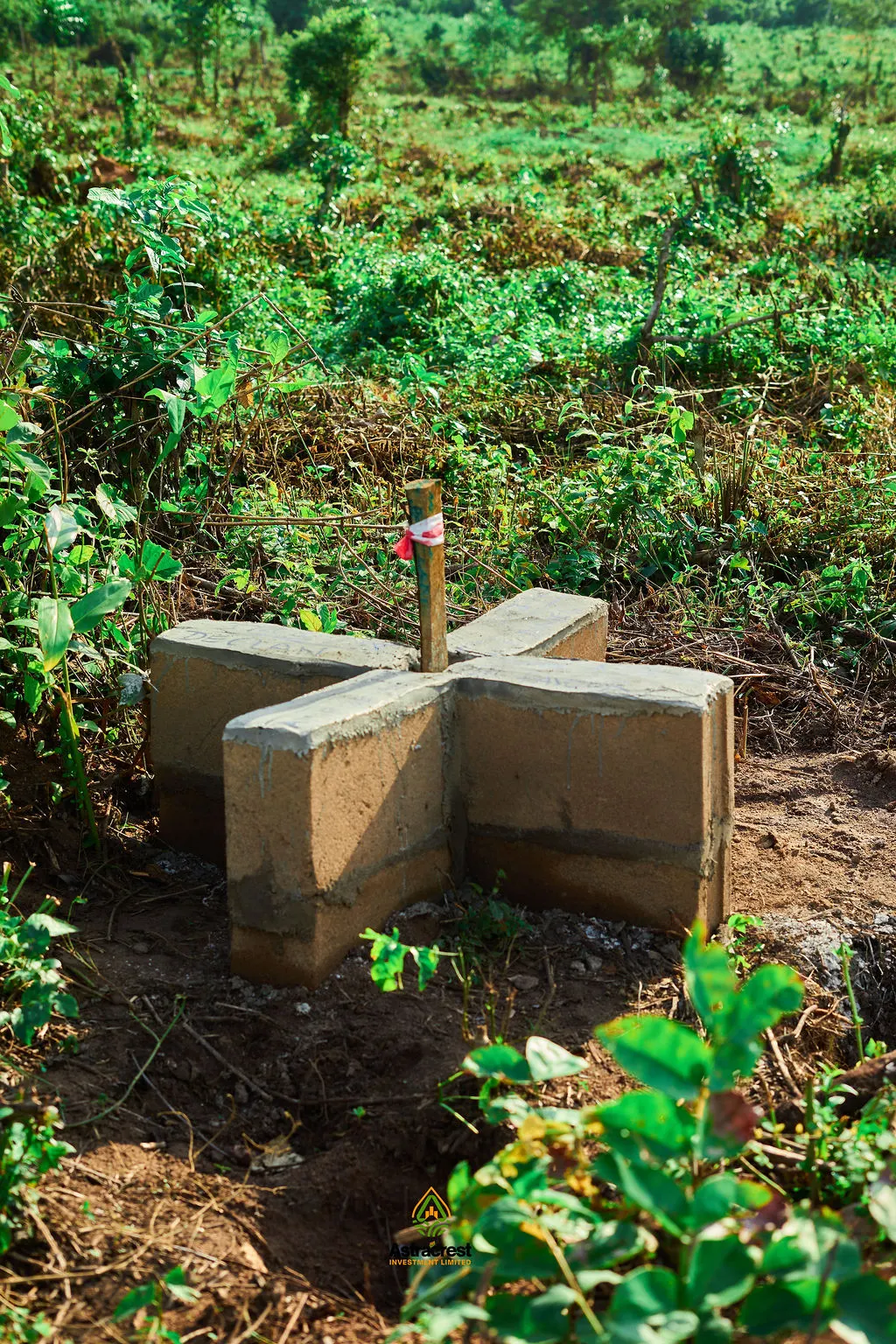 Starcrest Palm Estate — Second Batch Allocation — photo 59