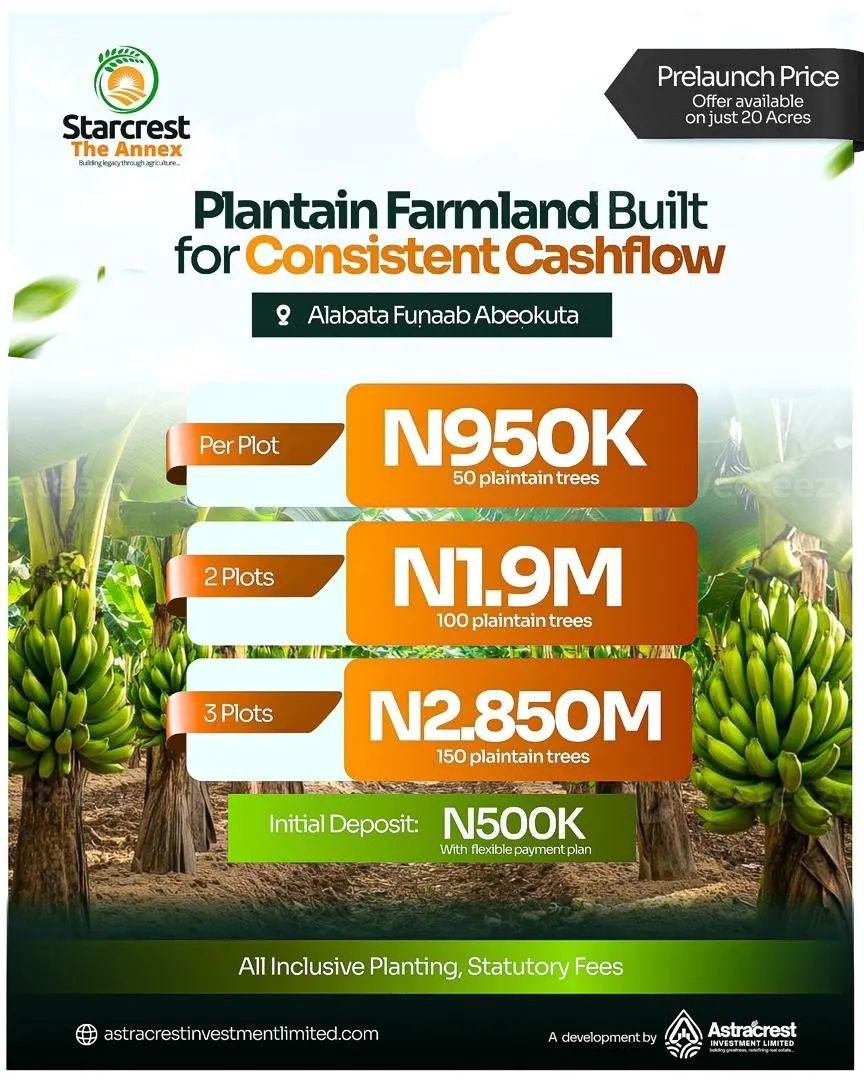 Pre-launch flyer: plantain farmland — 1, 2 and 3 plots