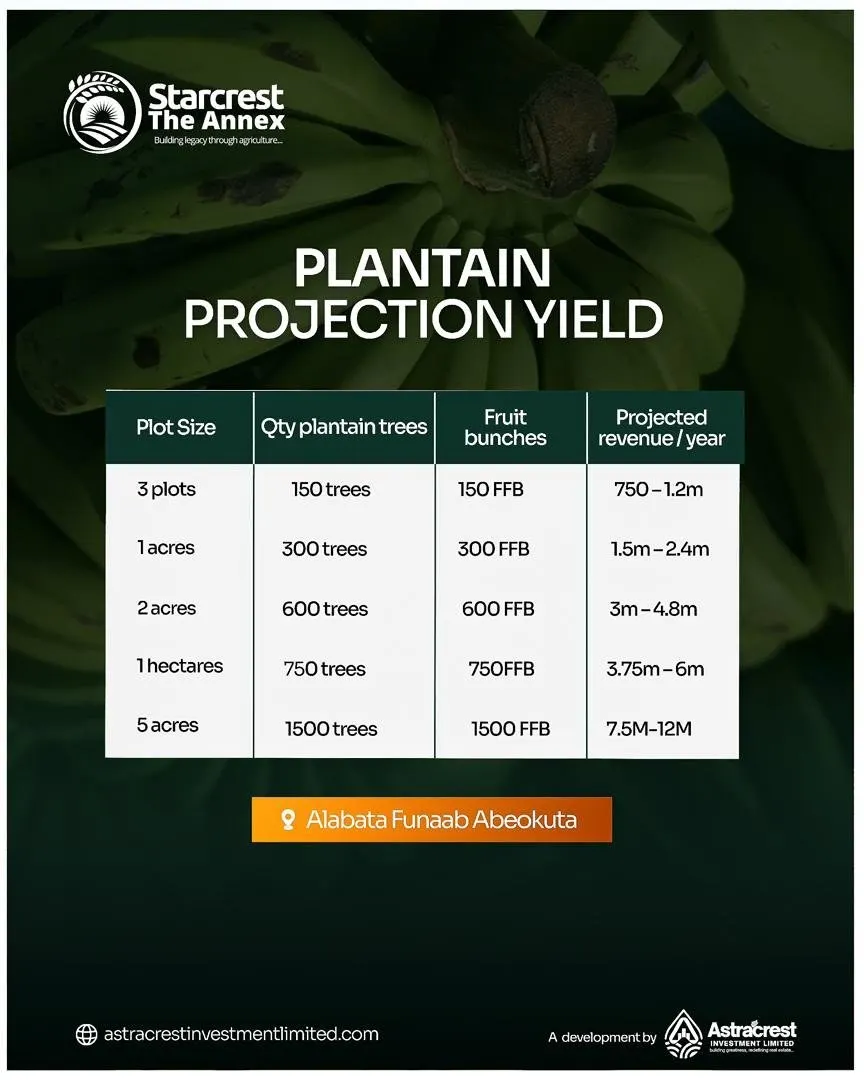 Plantain projected yield table