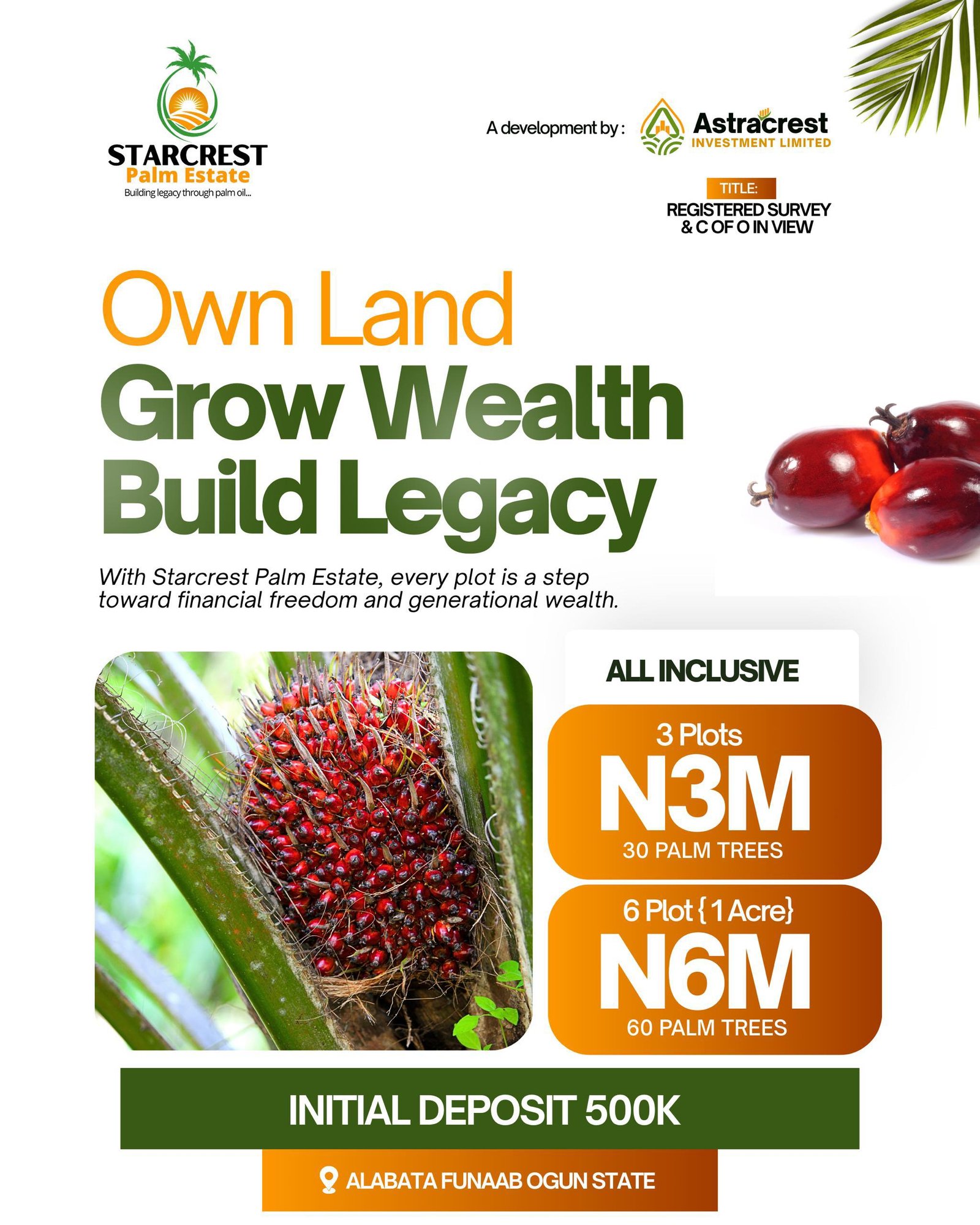 WhatsApp Image 2025-09-24 at 12.43.06_1dda0ca3