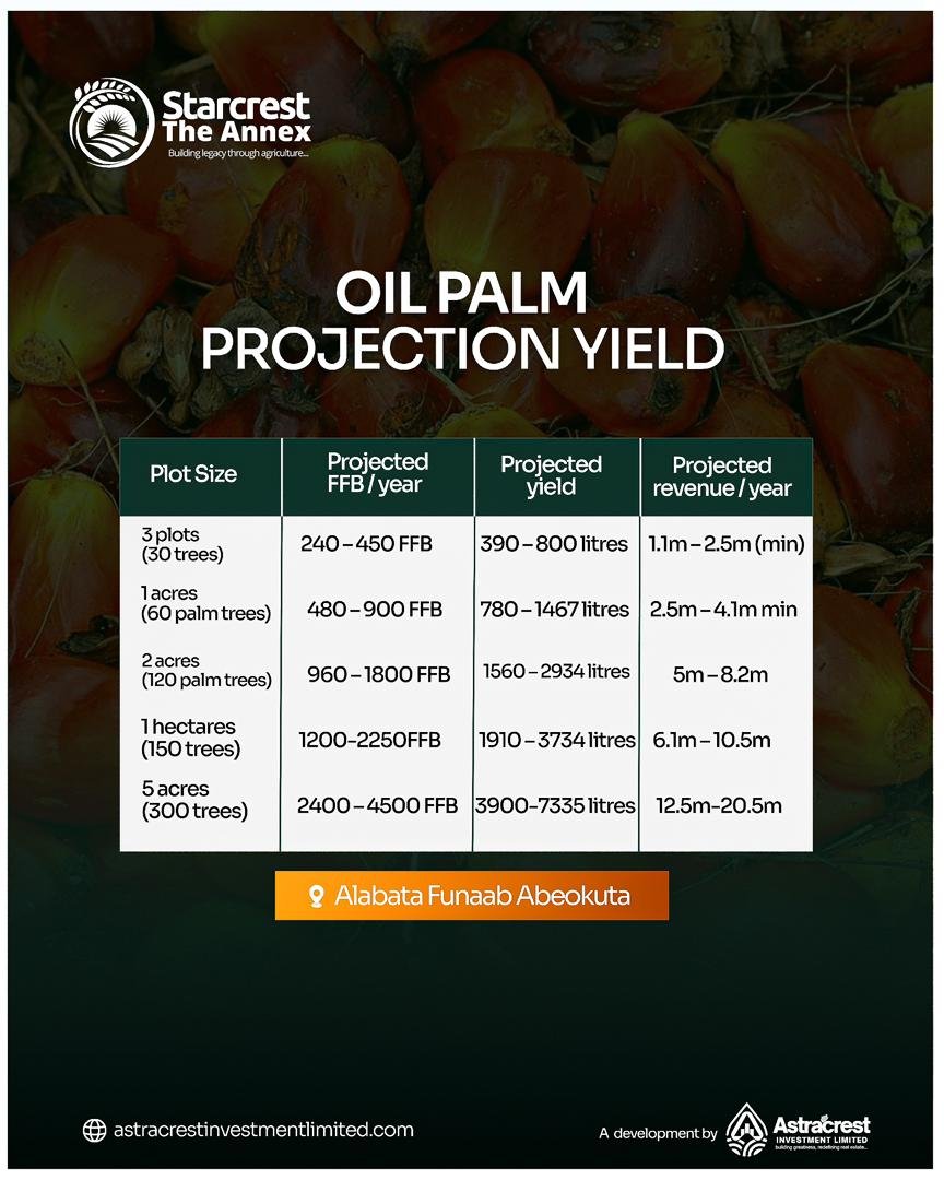 WhatsApp Image 2026-02-05 at 9.43.41 AMzdcsd